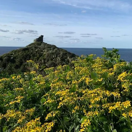 Avec Vue Imprenable Sur La Cap Corse Pino